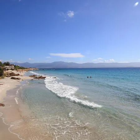 And Bright 60 M With Terrace View On The Sea Ajaccio (Corsica)