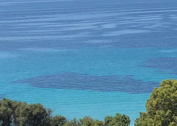 And Bright 60 M With Terrace View On The Sea